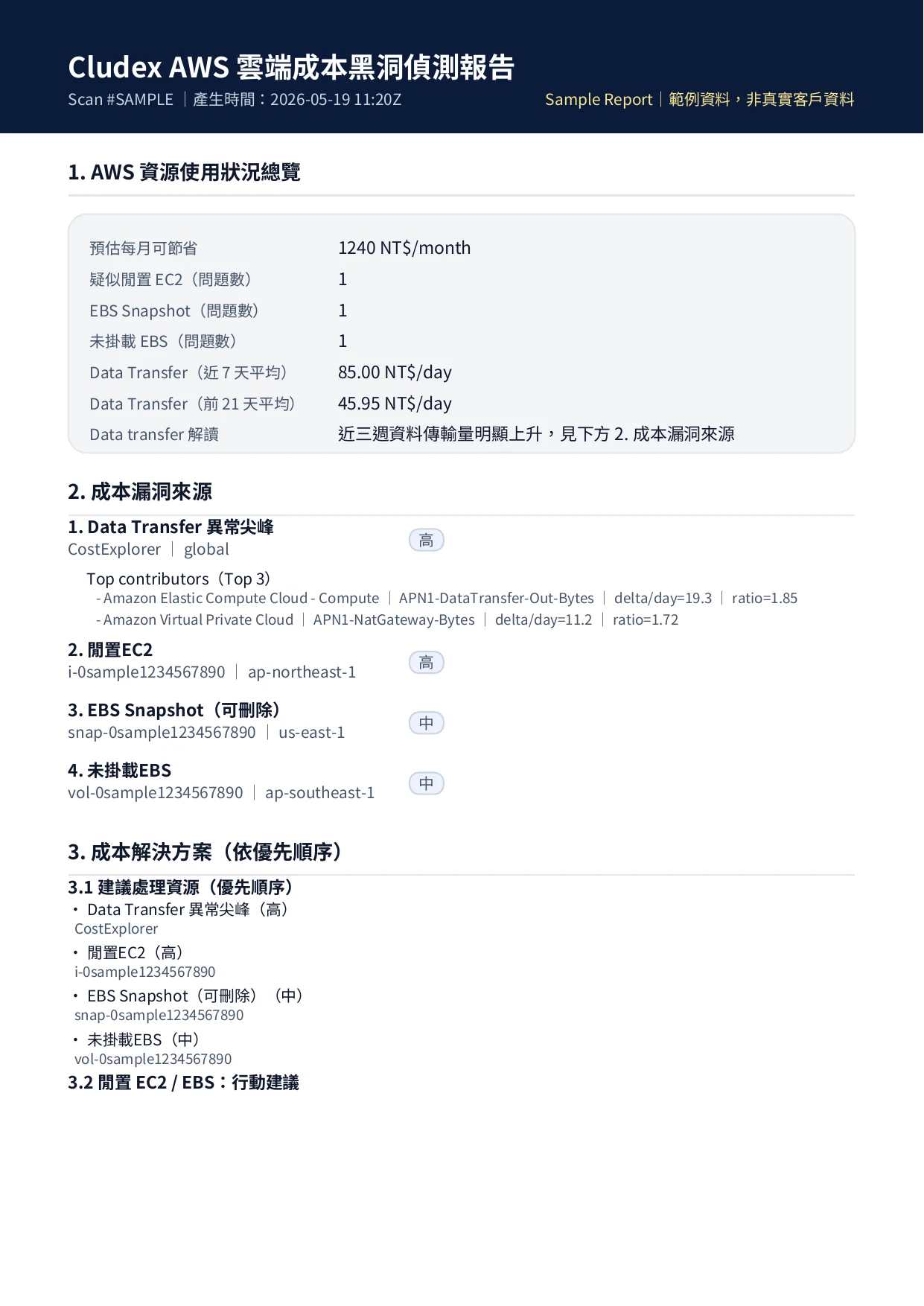 Cludex 範例報告第 1 頁