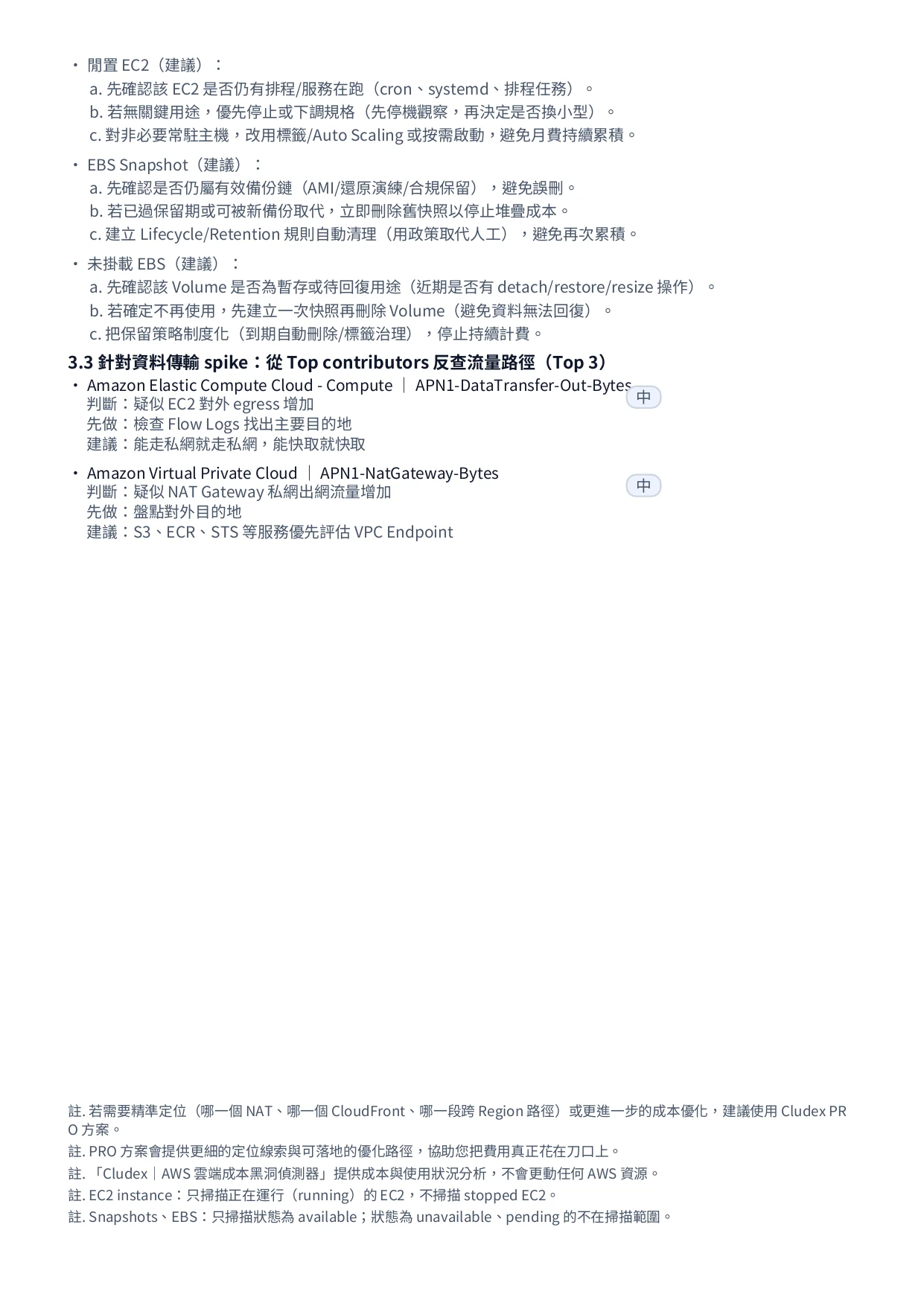 Cludex 範例報告第 2 頁